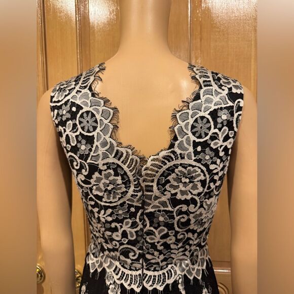 Erin Fetherston Blk Wht Sleeveless Floral Lace Cocktail V-Neck Dress Sz 4 - Picture 6 of 9